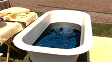 Big Brother All Stars - Blueberry bath